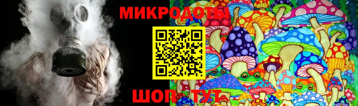 Псилоцибиновые грибы Psilocybine cubensis Шадринск
